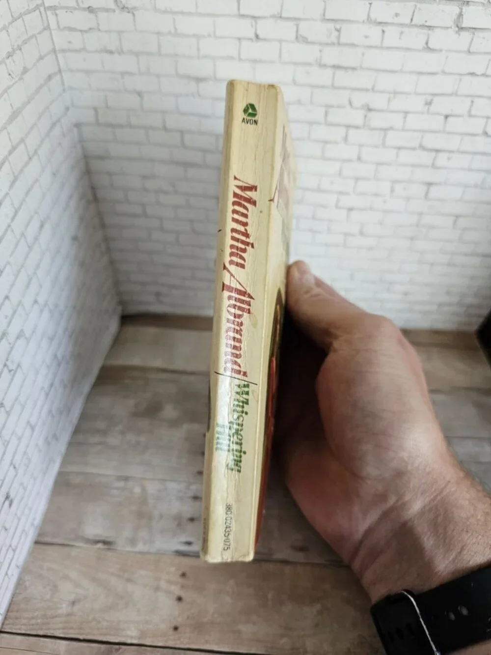 Vintage Whispering Hill Martha Albrand 1972 Gothic Romance Paperback Avon